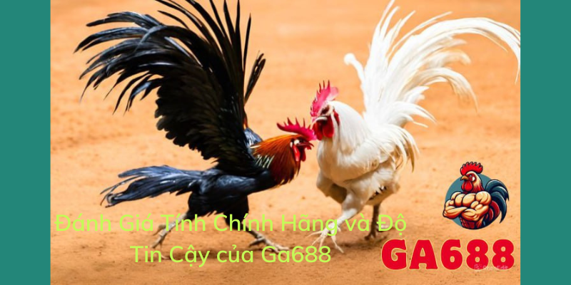 Đánh Giá Tính Chính Hãng và Độ Tin Cậy của Ga688