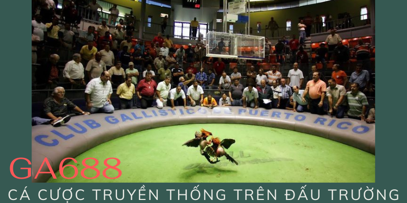 Cá cược truyền thống trên đấu trường