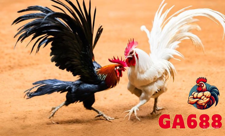 Đặc điểm nổi bật của Ga688