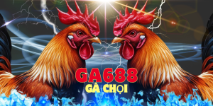 Giới thiệu về đá gà chọi tại Ga688