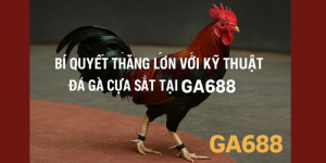 Bí Quyết Thắng Lớn Với Kỹ Thuật Đá Gà Tại Ga688